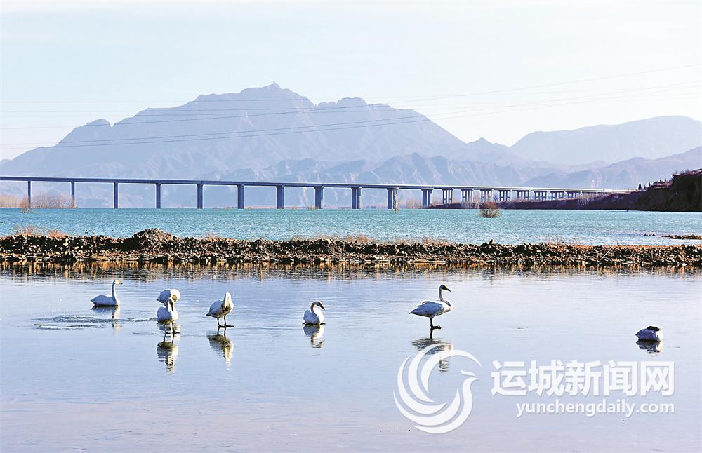 垣曲古城国家湿地公园生态向好