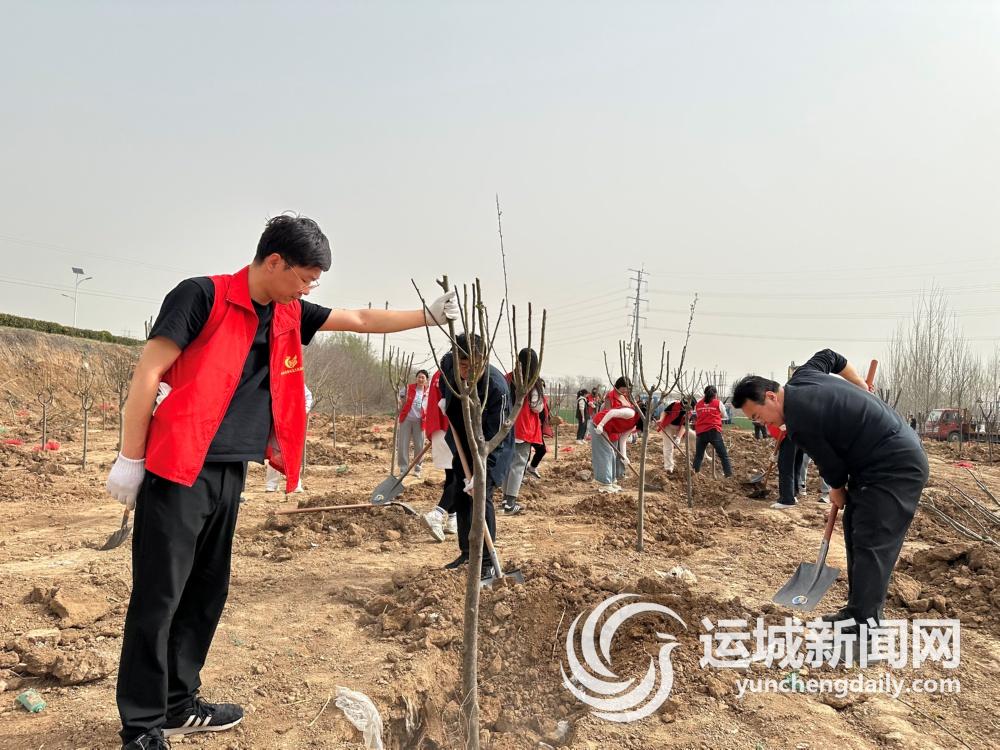 必赢网址村口“垃圾场”变身“生态绿肺”(图1)