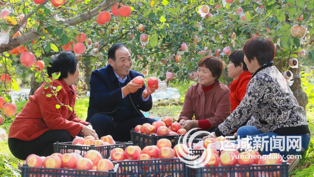 JN江南官网临猗：文商融合绘新卷 “农”墨重彩谱华章(图12)