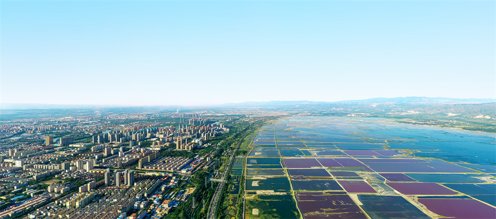 “党建+”释放文商旅融合发展新动能