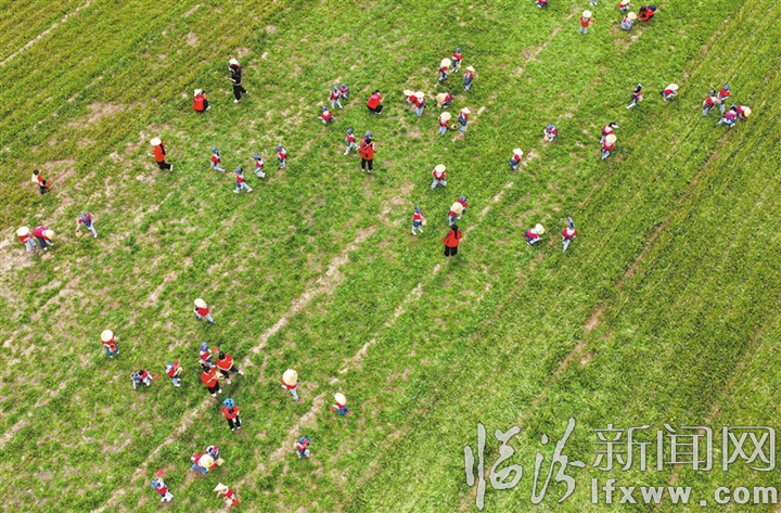 e8eadbe11083844be6f7d3a9caa3ad2d_18092303nlig.jpg